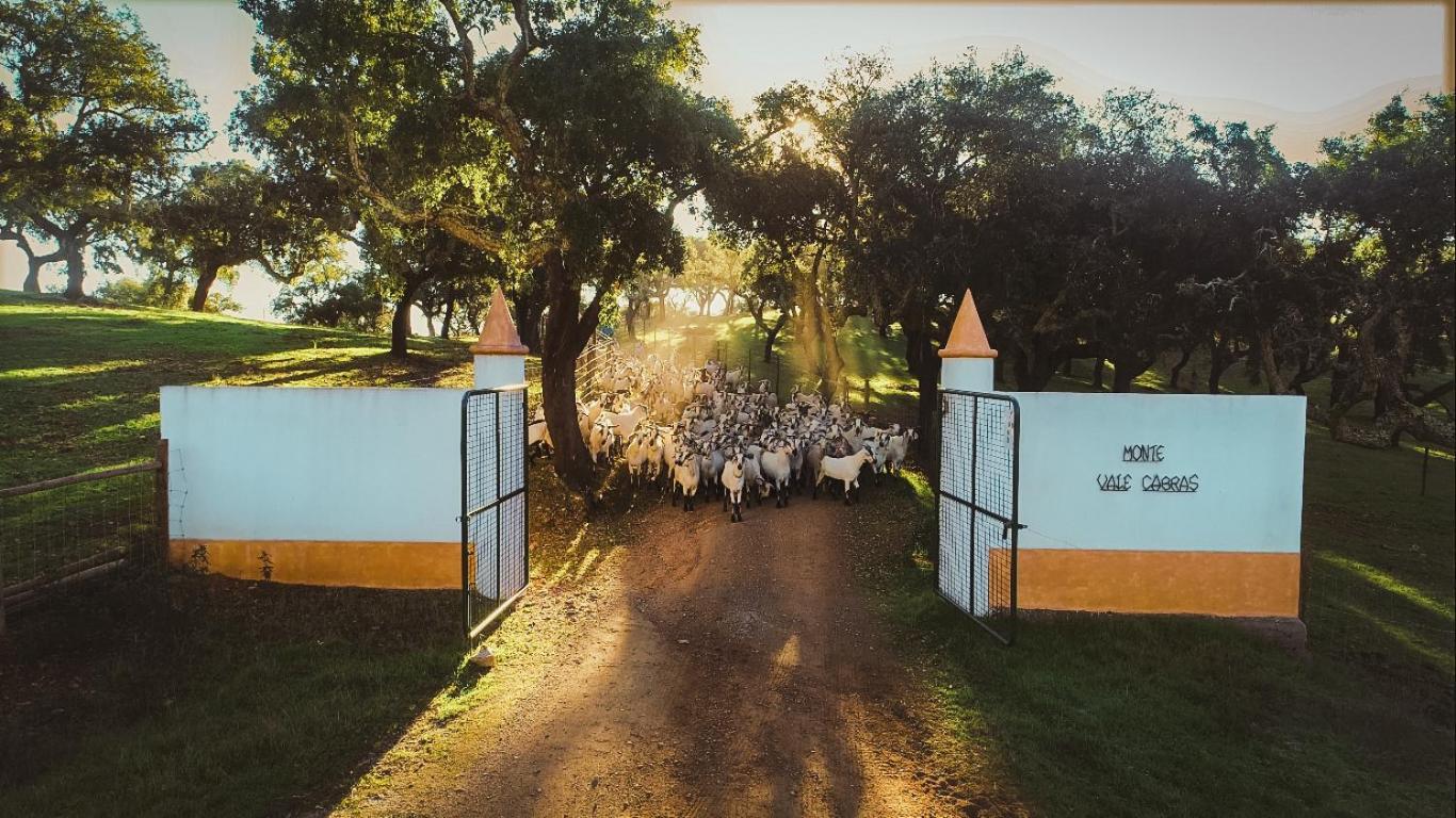 Herdade Vale De Cabras Portel Εξωτερικό φωτογραφία